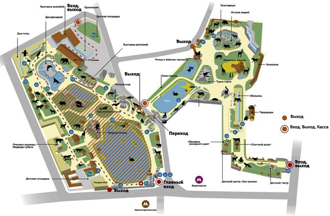 Карта Московского зоопарка с обозначением мест, где и кого можно увидеть